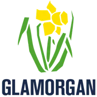 Glamorgan t20