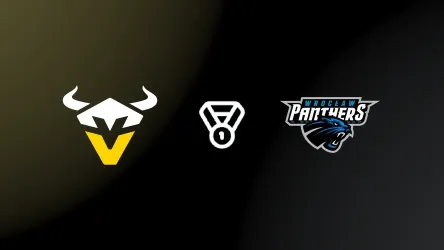 Vienna Vikings vs Wrocław Panthers poster