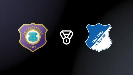 Erzgebirge Aue vs Hoffenheim II