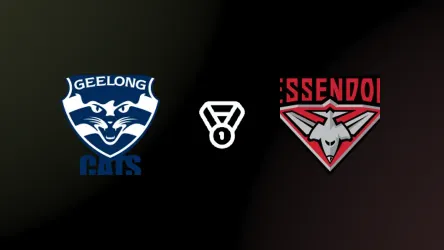 Geelong Cats vs Essendon Bombers poster