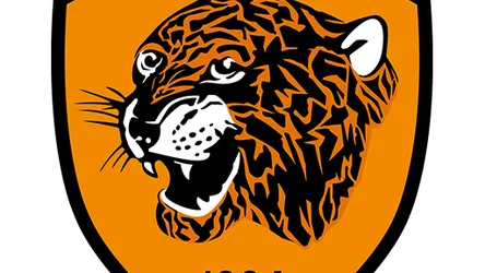 Hull City