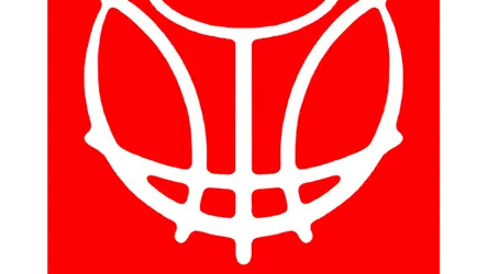 Poland Basketball