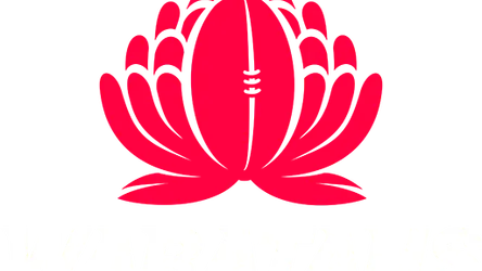 New South Wales Waratahs