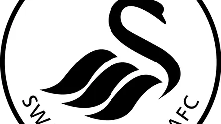 Swansea City