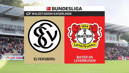 Elversberg vs Bayer Leverkusen