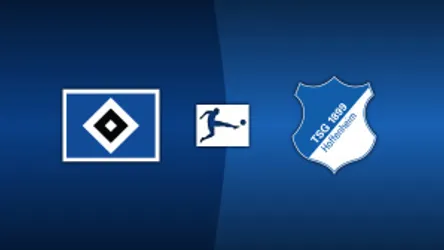 Hamburg SV vs. TSG Hoffenheim
