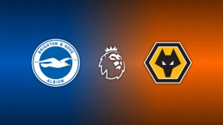 Brighton & Hove Albion vs. Wolverhampton Wanderers